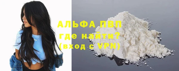 хмурый Дмитров