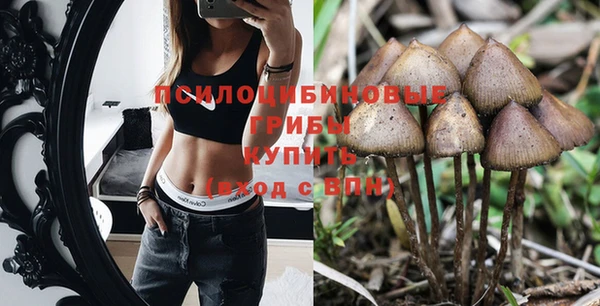 гидропоника Дмитриев