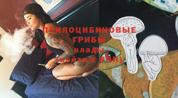дживик Лихославль