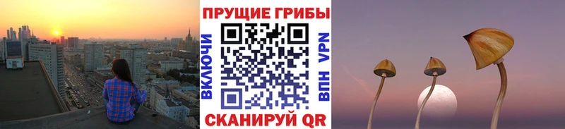 Галлюциногенные грибы ЛСД  Елизово 