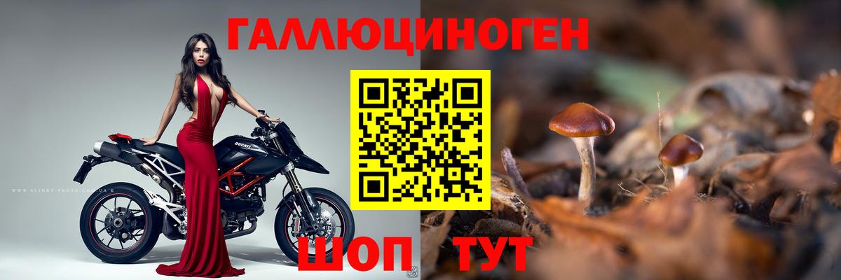 Елизово  как найти наркотики  Вход с VPN  Псилоцибиновые грибы мухоморы 